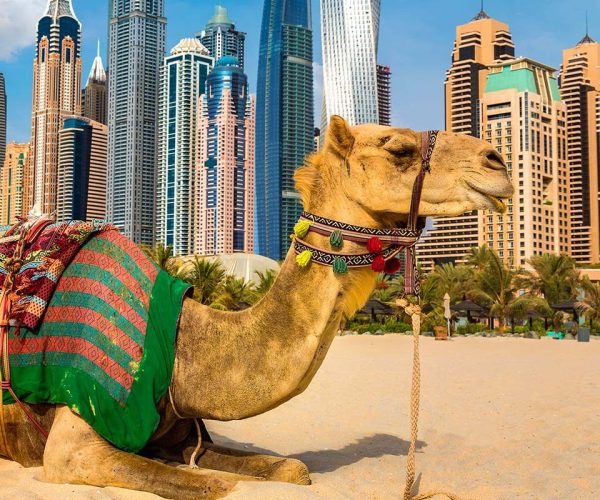 Oman i UAE (26.03.-02.04.2026.)