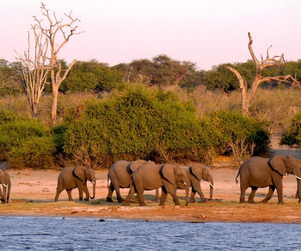Južna Afrika, Esvatini, Viktorijini slapovi i safari u Bocvani (24.09.-07.10.2025.)